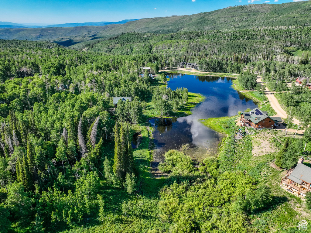 Drone / aerial view featuring a water and mountain view