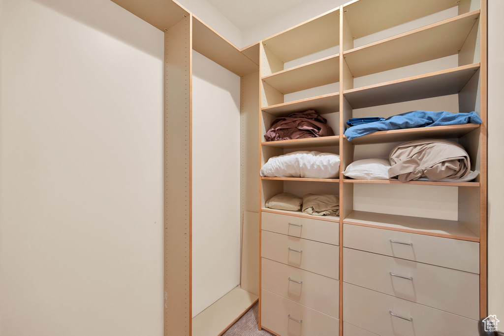 Walk in closet featuring carpet flooring