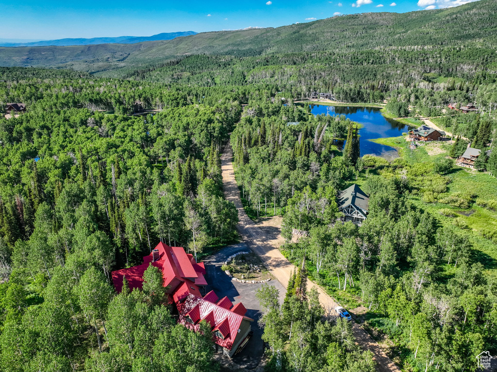 Drone / aerial view featuring a water and mountain view