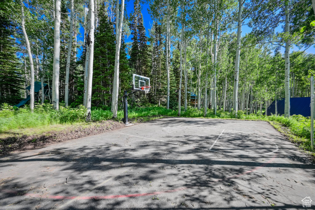 View of sport court