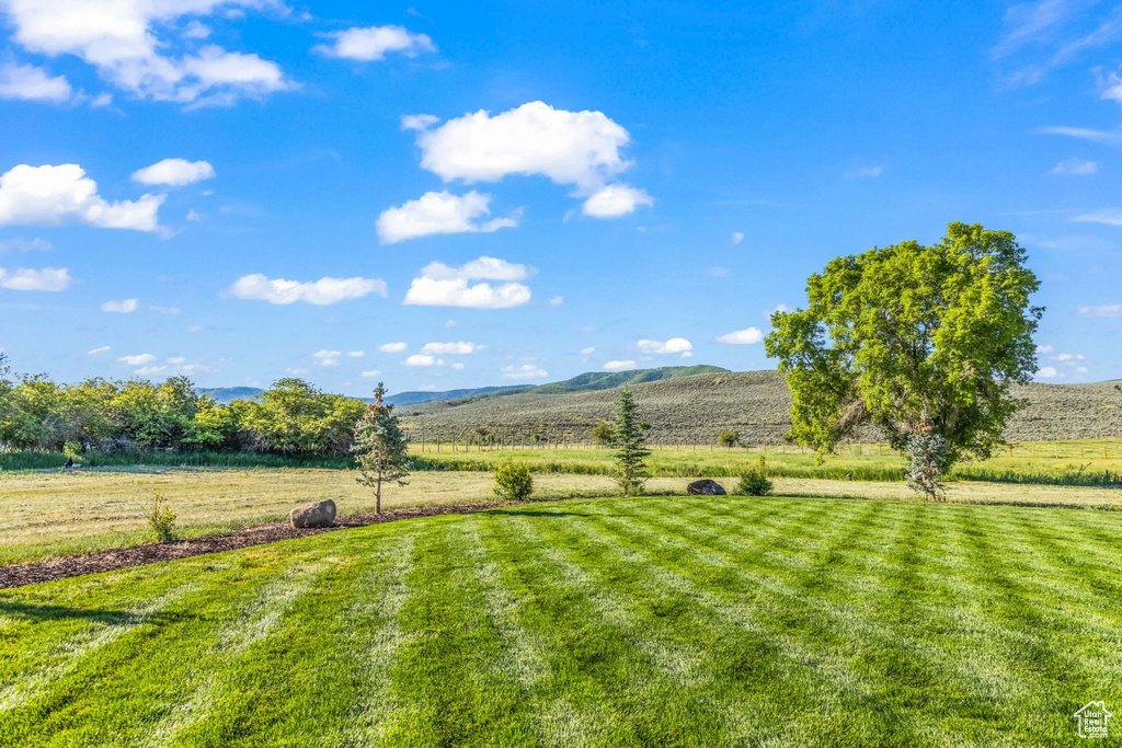 View of yard with a mountain view and a rural view