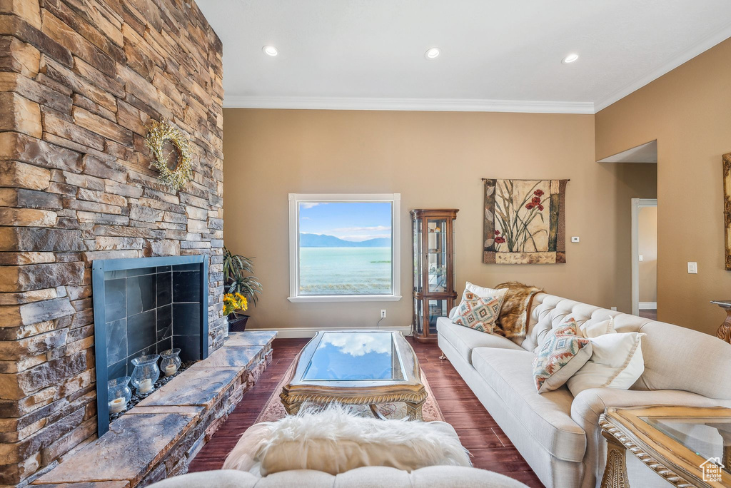 Living room featuring a stone fireplace, crown molding, and dark wood-type flooring