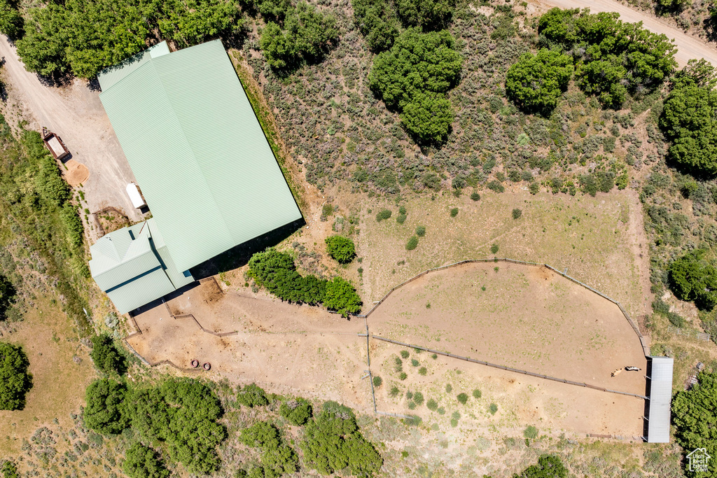 View of bird's eye view