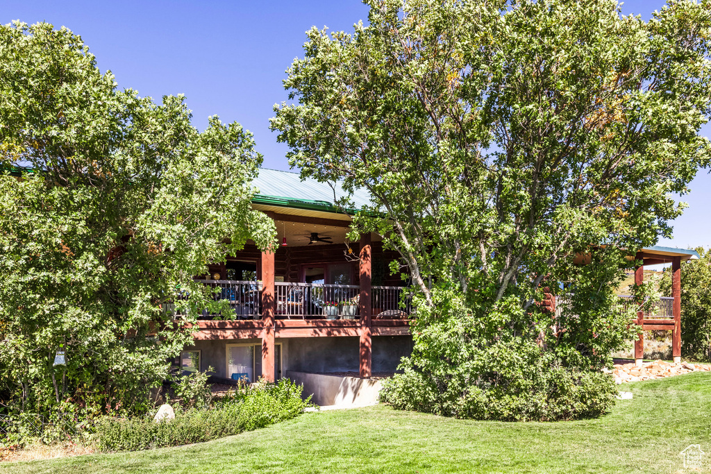 Back of house with a yard and ceiling fan