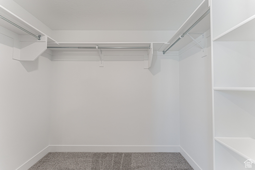 Spacious closet with carpet