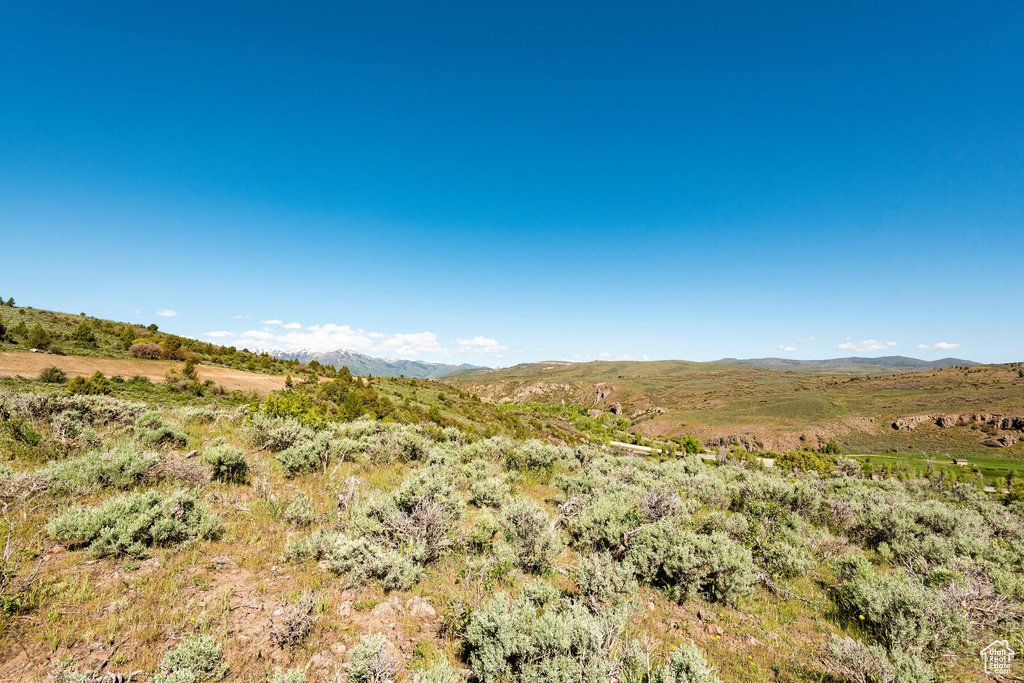 View of mother earth's splendor featuring a mountain view