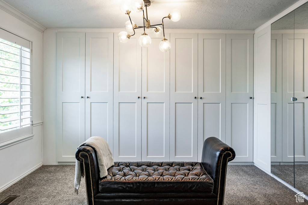 Sitting room featuring a wealth of natural light, carpet, a chandelier, and a textured ceiling