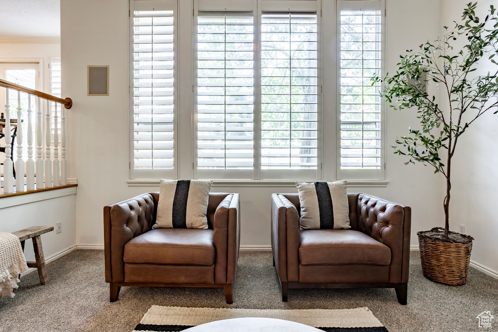 Sitting room with carpet floors and plenty of natural light