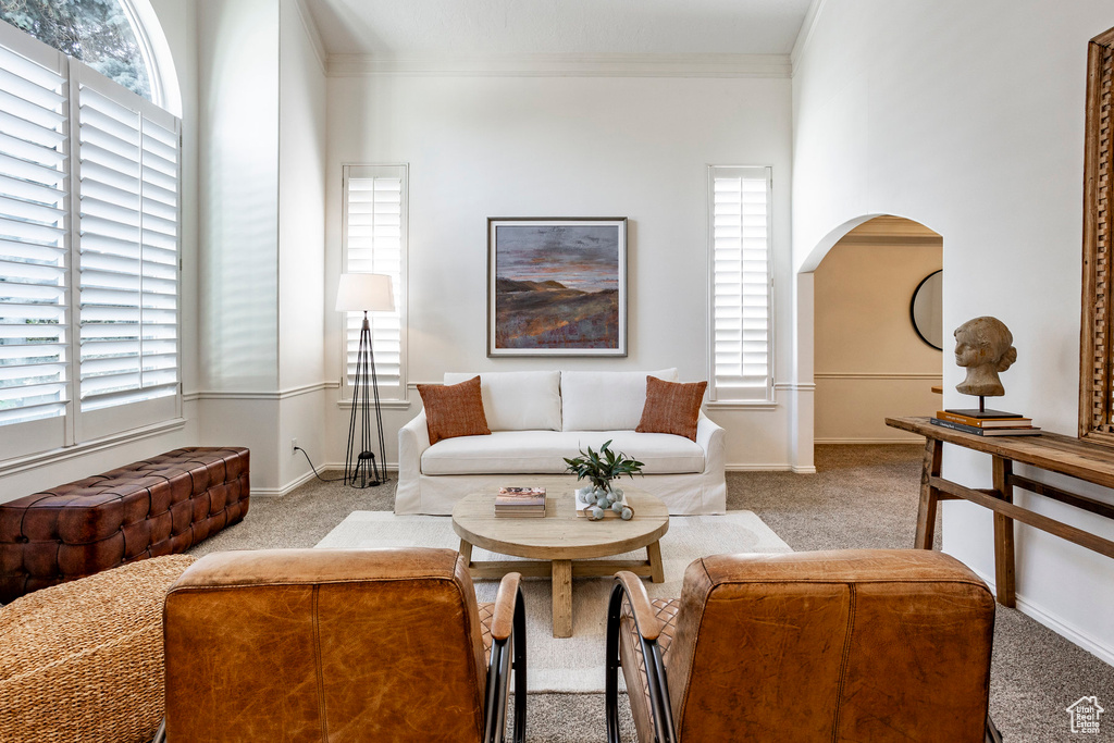 Living room featuring crown molding and carpet floors