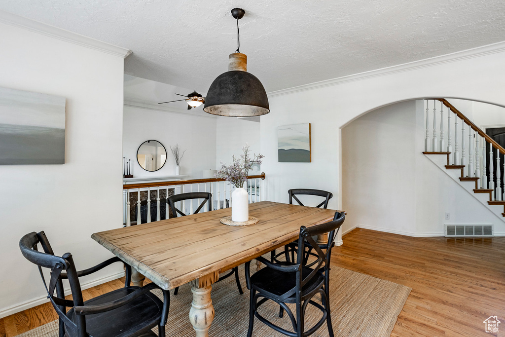 Dining area with hardwood / wood-style floors, ceiling fan, a textured ceiling, and crown molding