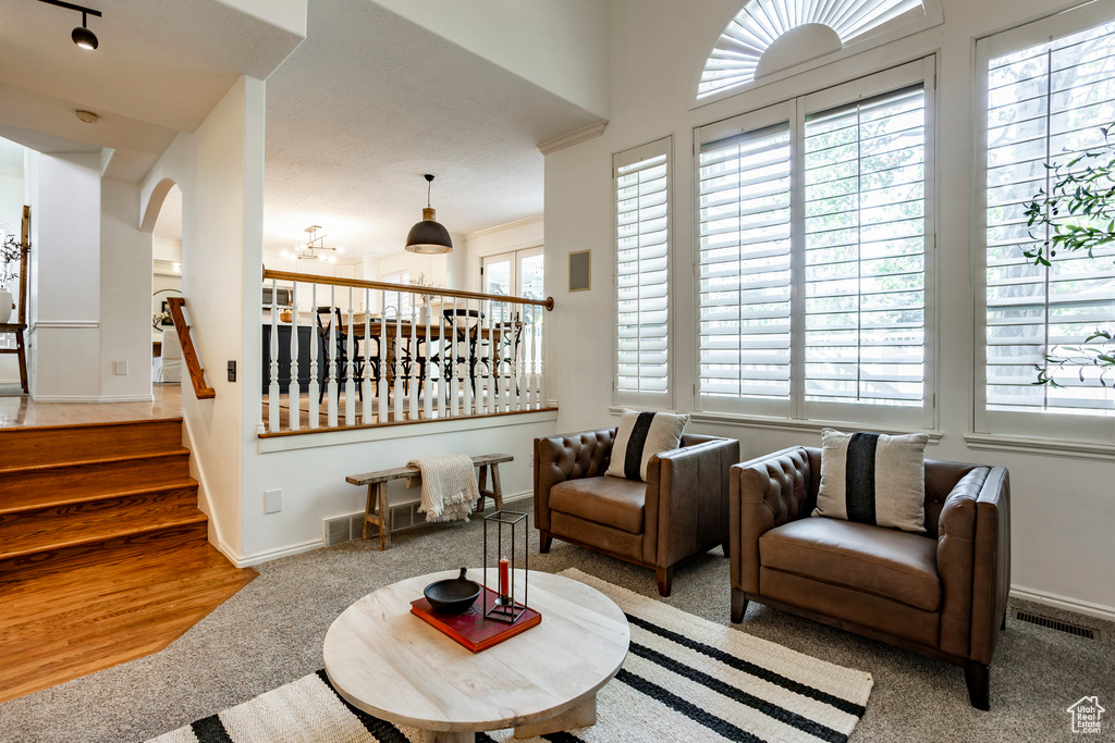 Living room featuring wood-type flooring and plenty of natural light