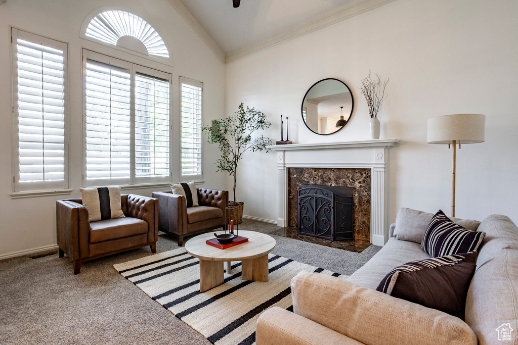 Carpeted living room with high vaulted ceiling, plenty of natural light, and a fireplace