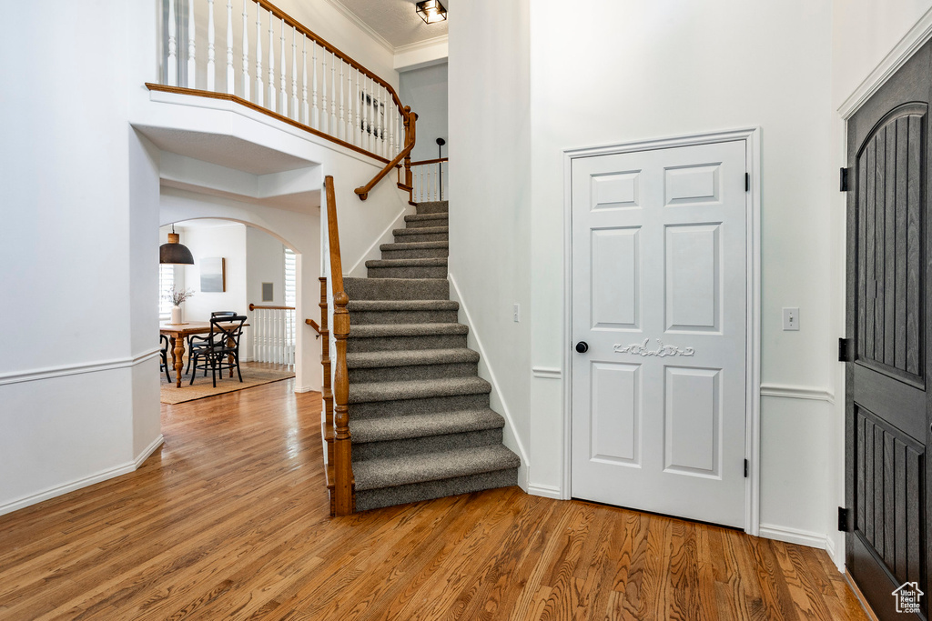 Entryway with crown molding, hardwood / wood-style flooring, and a towering ceiling