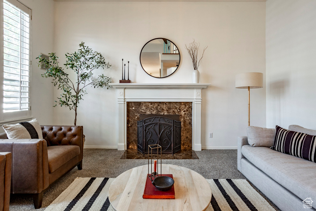 Carpeted living room featuring a premium fireplace