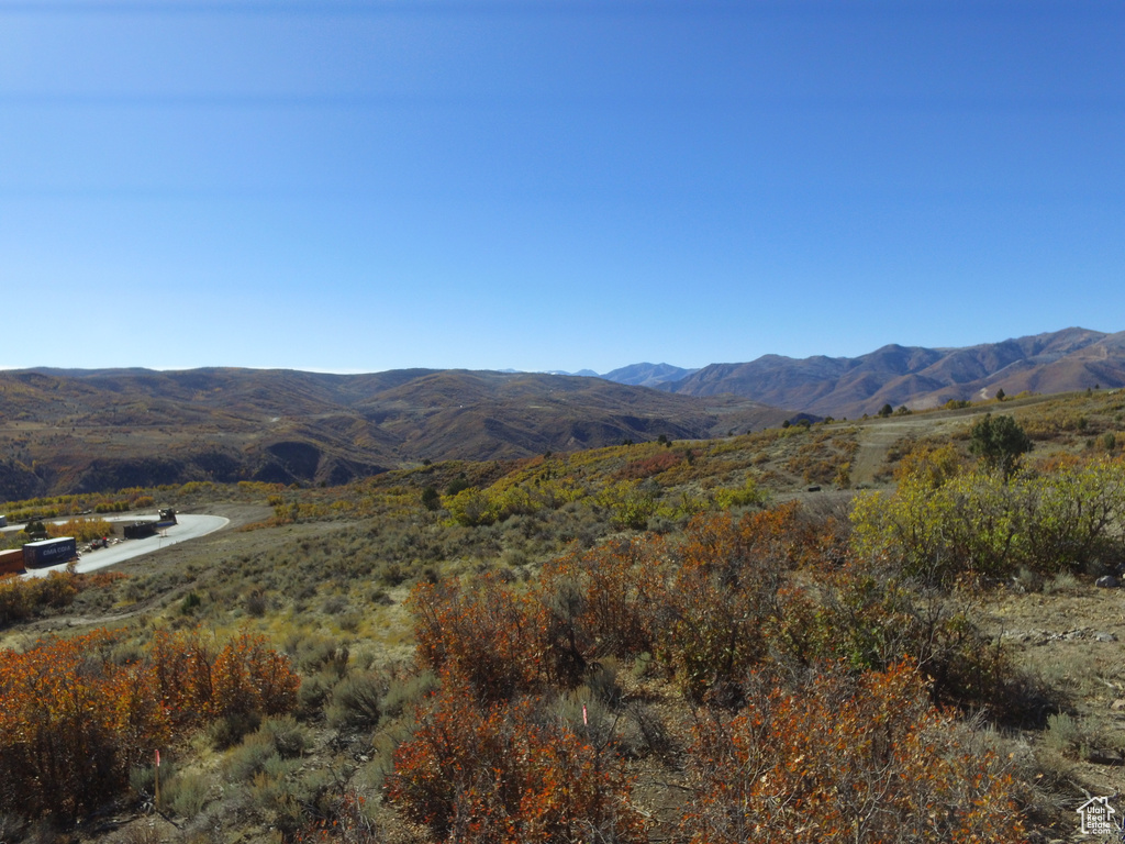Mountain view