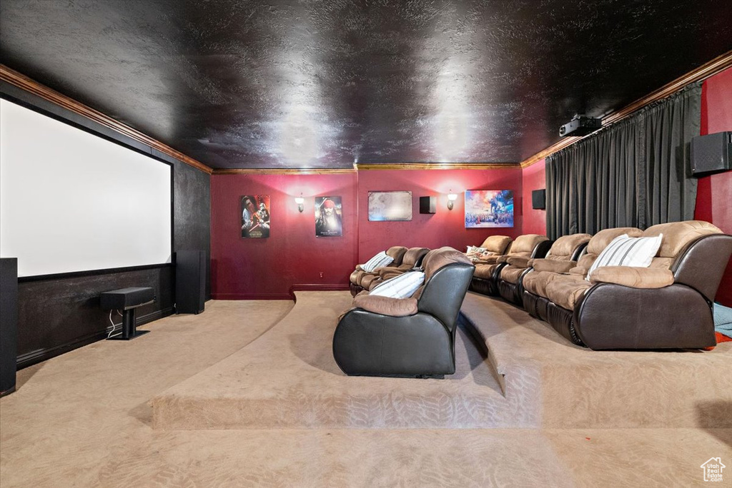 Carpeted cinema featuring crown molding