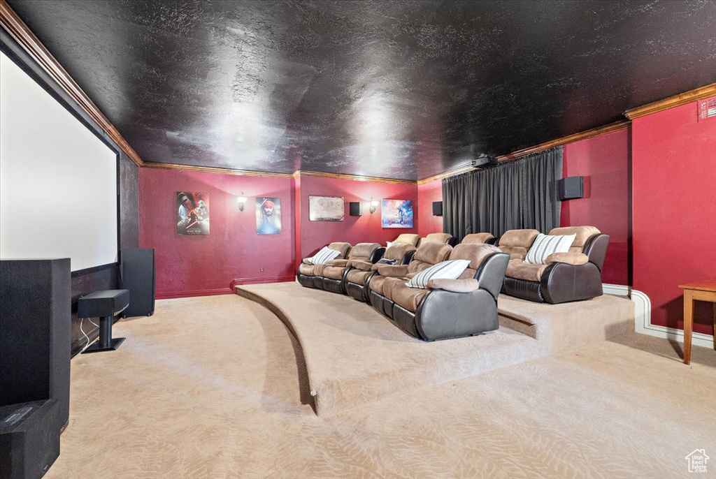 Carpeted cinema with ornamental molding