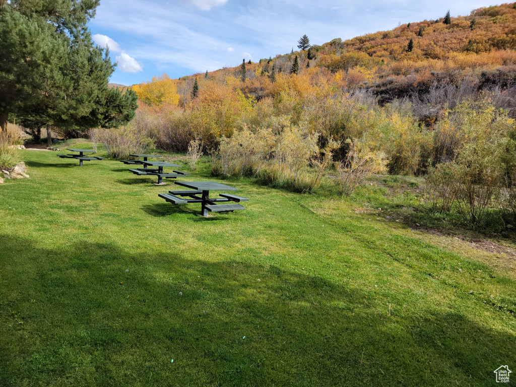 Surrounding community featuring a yard