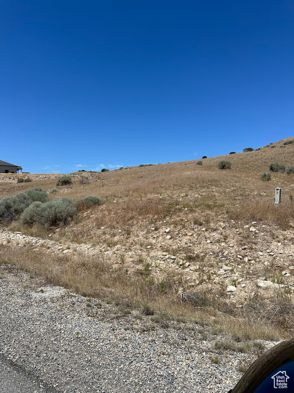 View of local wilderness with a rural view