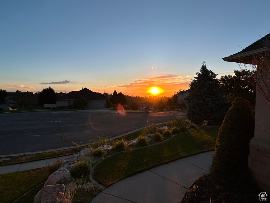 View of yard at dusk