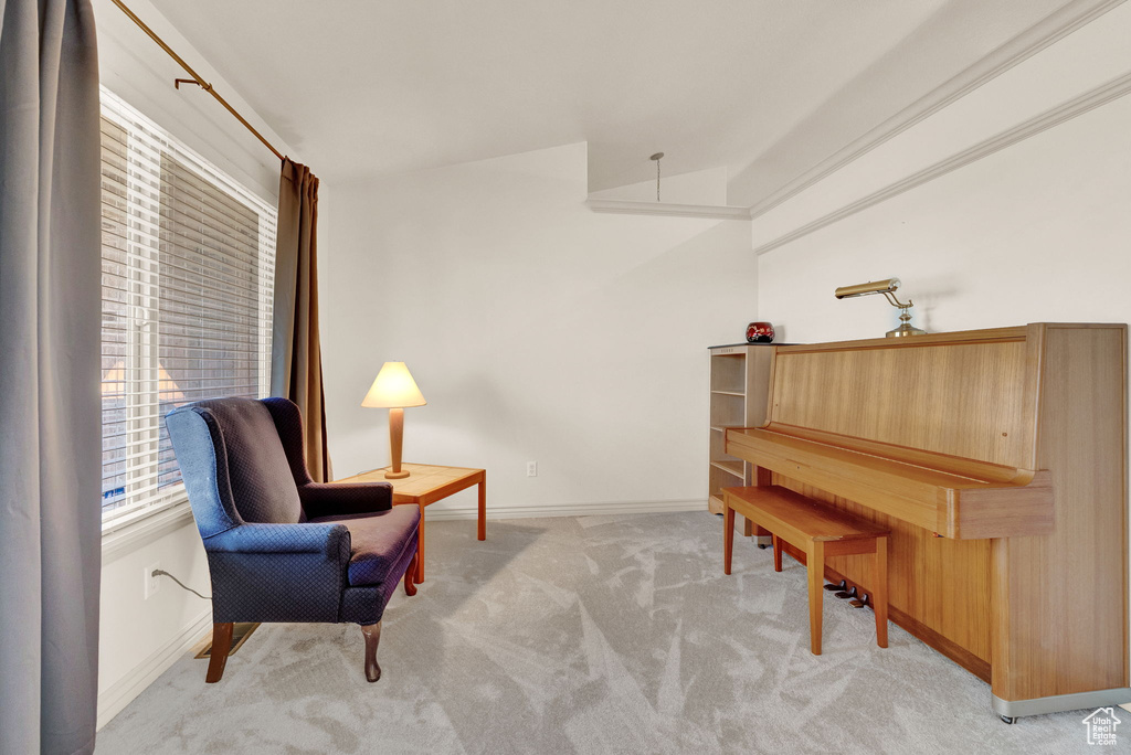 Living area with carpet and lofted ceiling