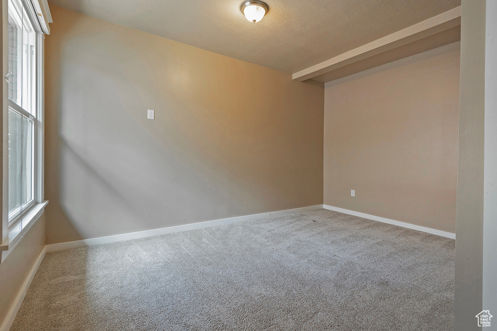 Carpeted spare room with a wealth of natural light and a textured ceiling