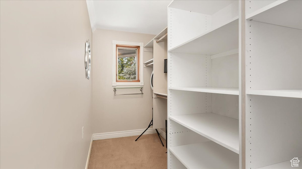 Spacious closet featuring carpet flooring