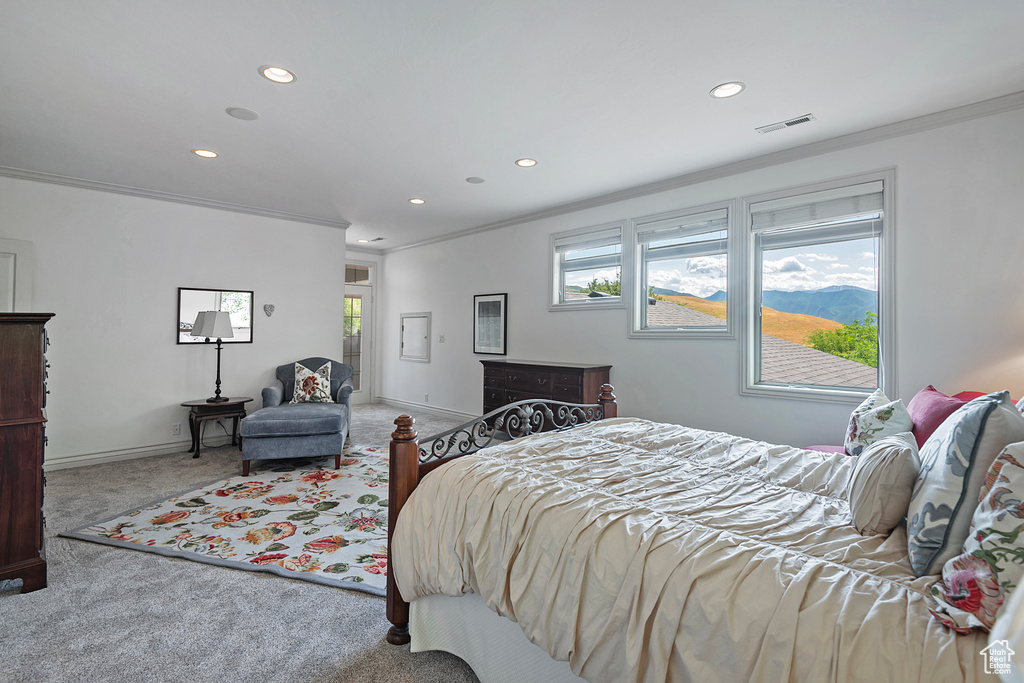 Carpeted bedroom with crown molding and multiple windows