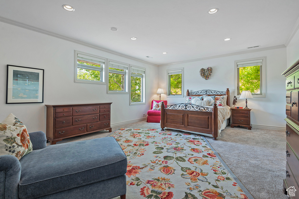 Carpeted bedroom with ornamental molding and multiple windows