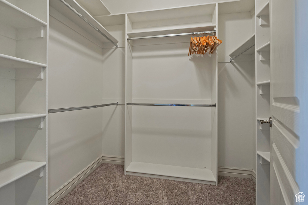 Spacious closet with carpet