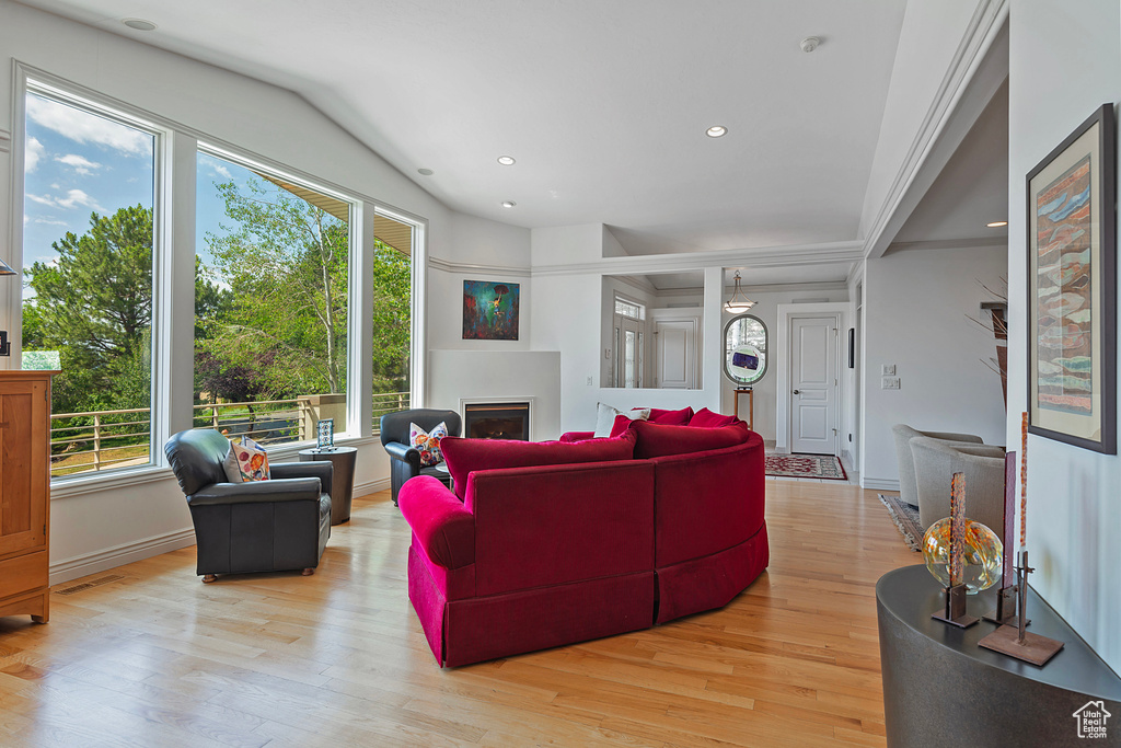 Living room with a wealth of natural light and light hardwood / wood-style flooring