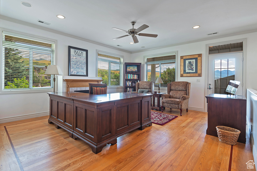 Office area featuring ceiling fan, ornamental molding, and light hardwood / wood-style flooring