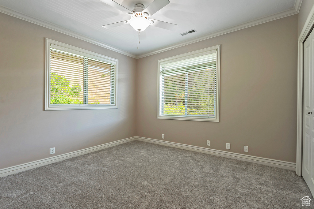 Spare room featuring crown molding, carpet, and ceiling fan