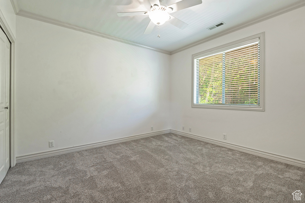 Spare room with ceiling fan, carpet floors, and ornamental molding