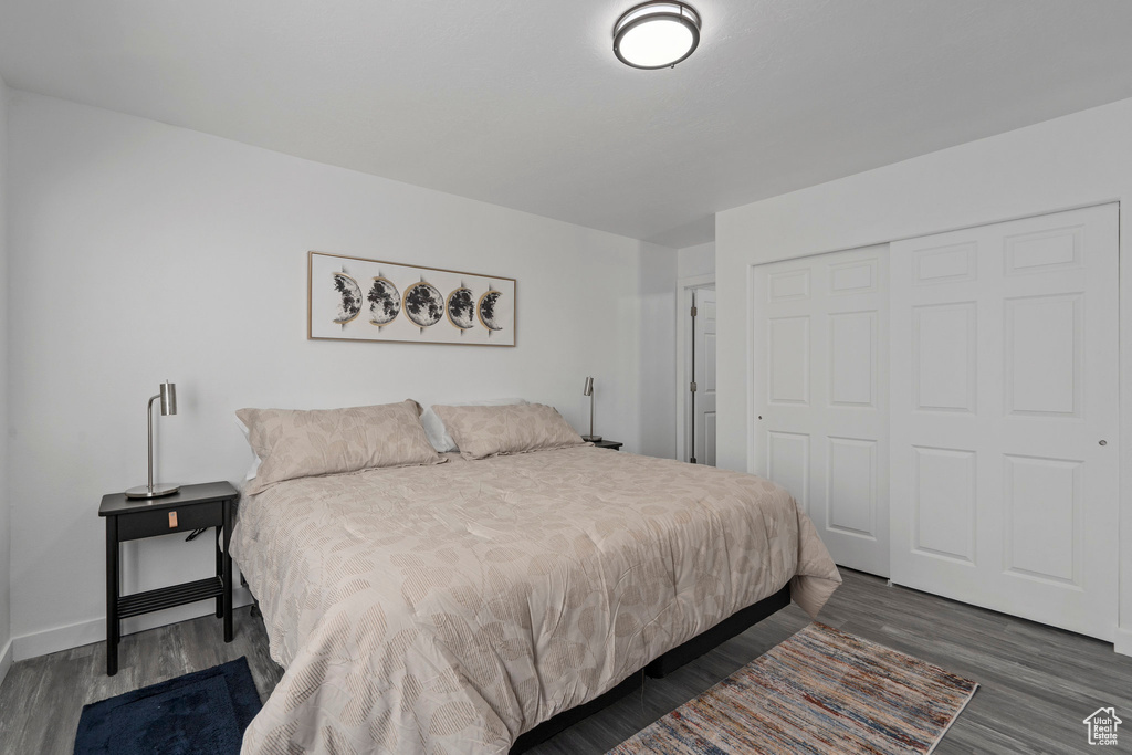 Bedroom featuring dark hardwood / wood-style flooring and a closet