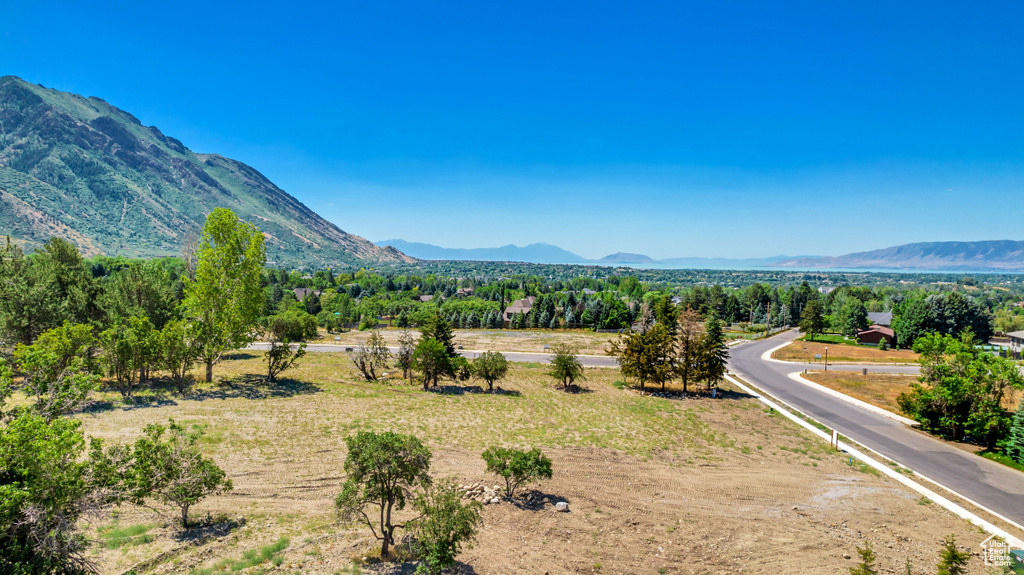 Mountain view featuring a rural view