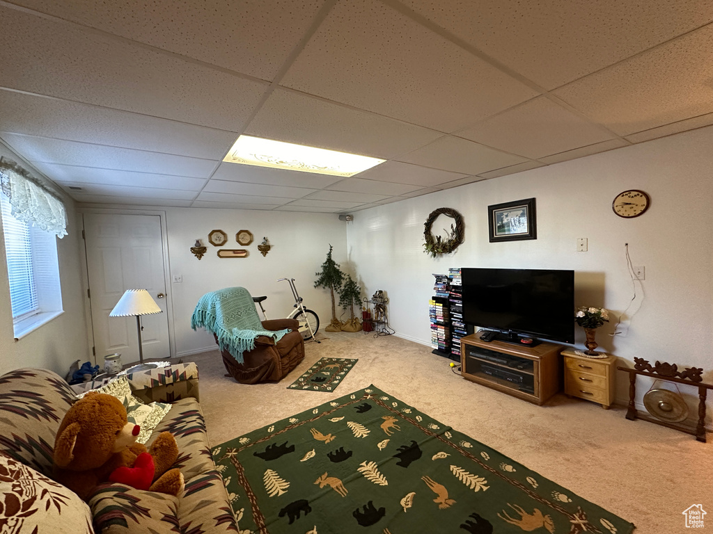 Carpeted living room with a paneled ceiling