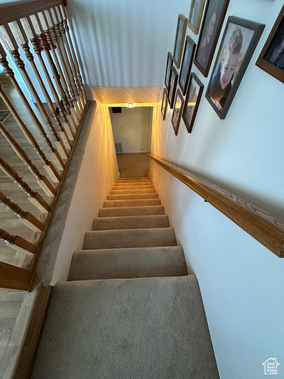 Stairs featuring a high ceiling and carpet floors