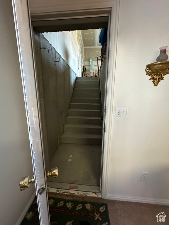 Stairway featuring carpet floors