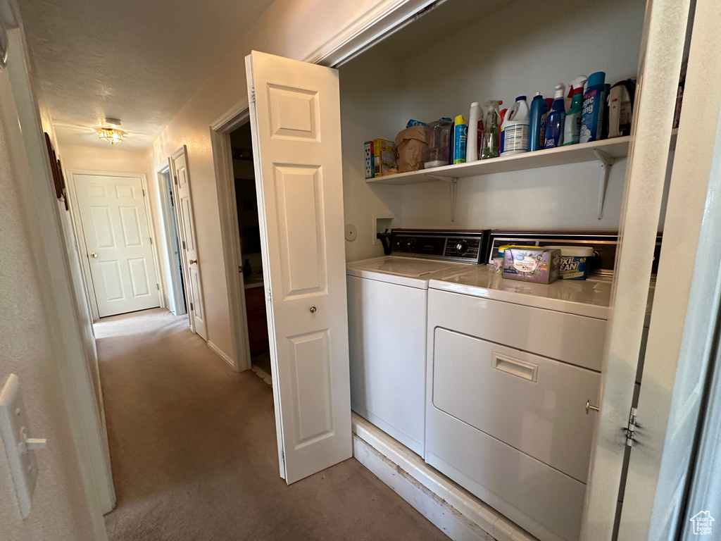 Washroom with carpet flooring, washing machine and dryer, and hookup for a washing machine