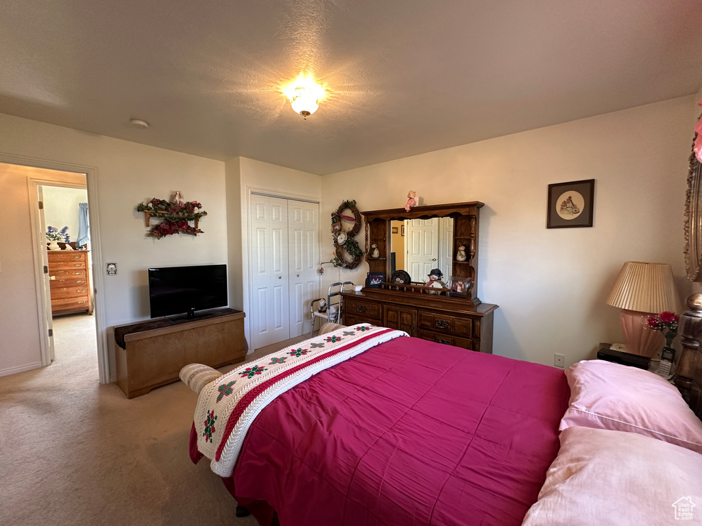 Carpeted bedroom featuring a closet