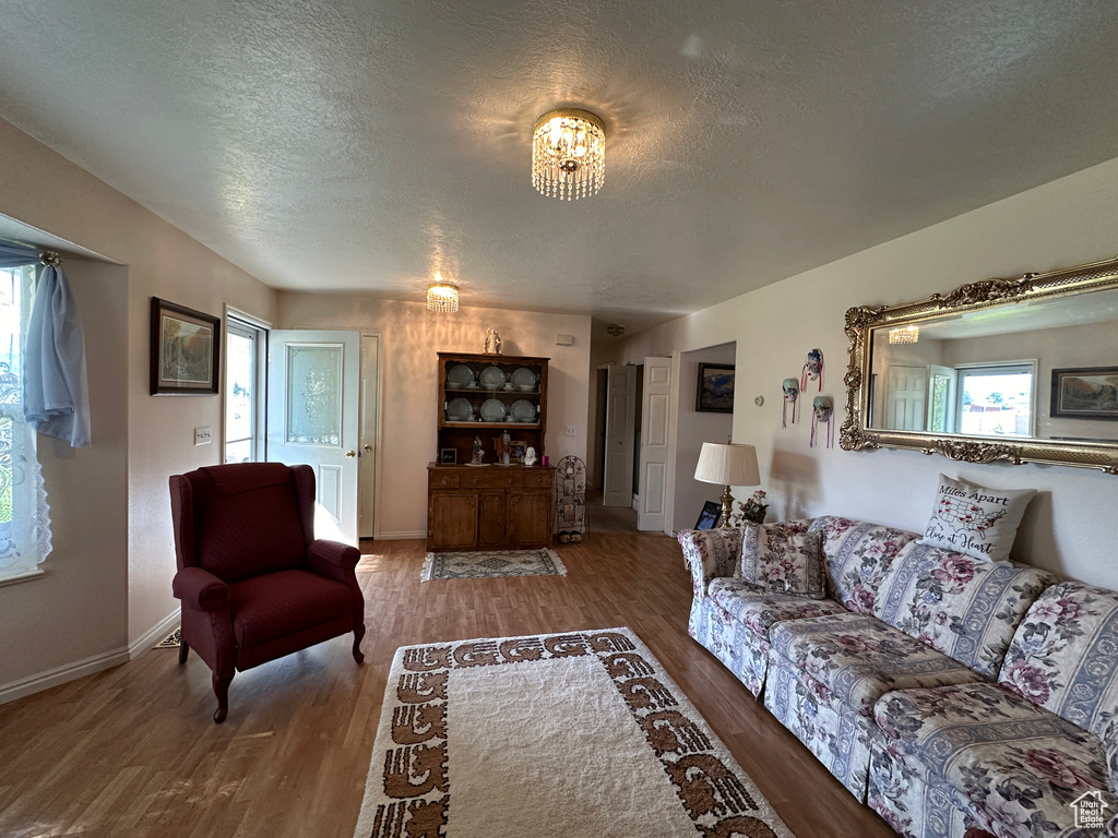 Living room with hardwood / wood-style floors and a textured ceiling