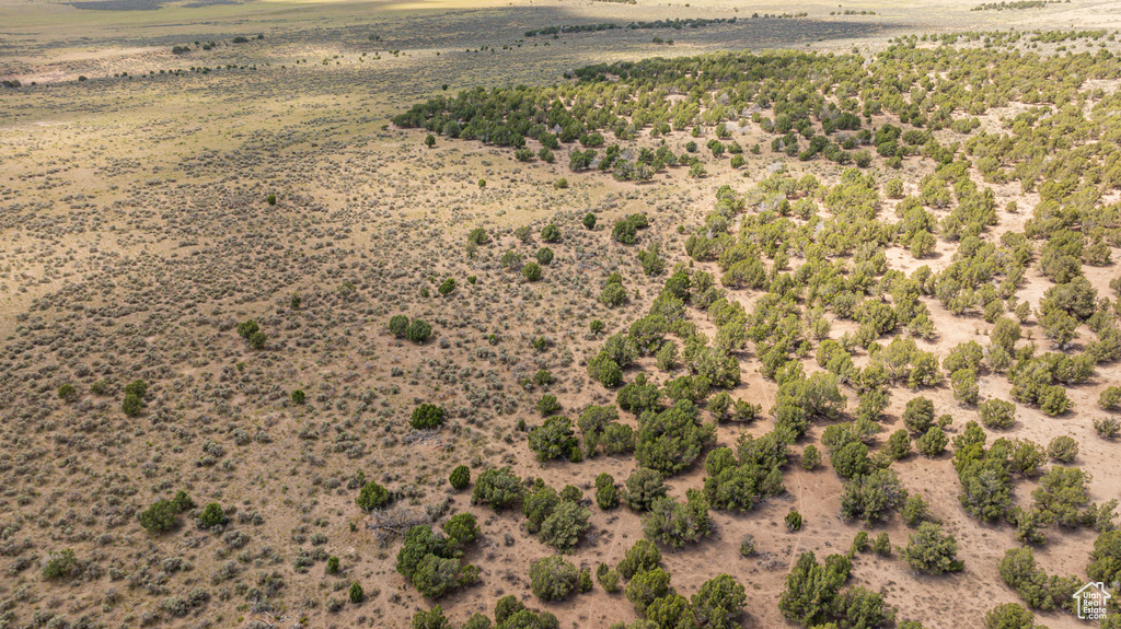 Bird\\\\\\\'s eye view featuring a rural view