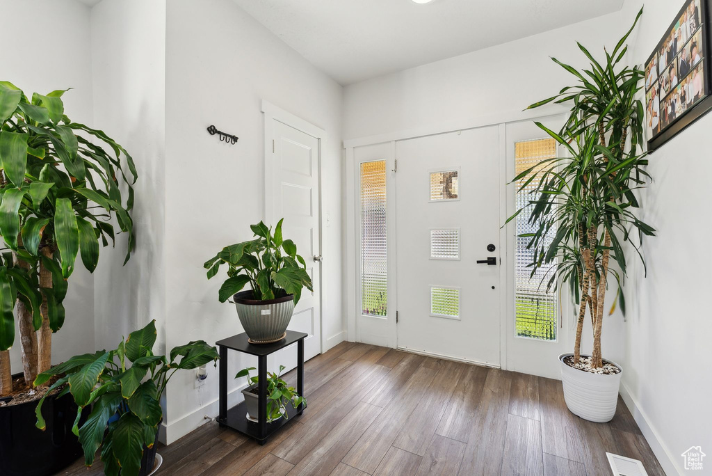 Foyer with hardwood / wood-style floors