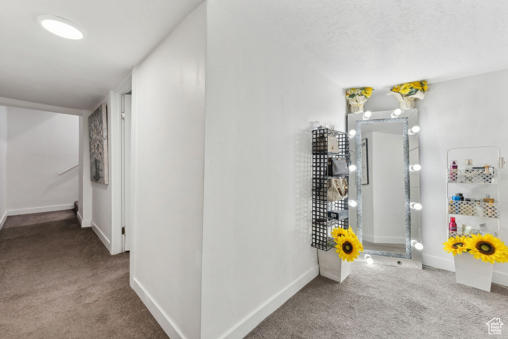 Hallway featuring carpet floors and a textured ceiling