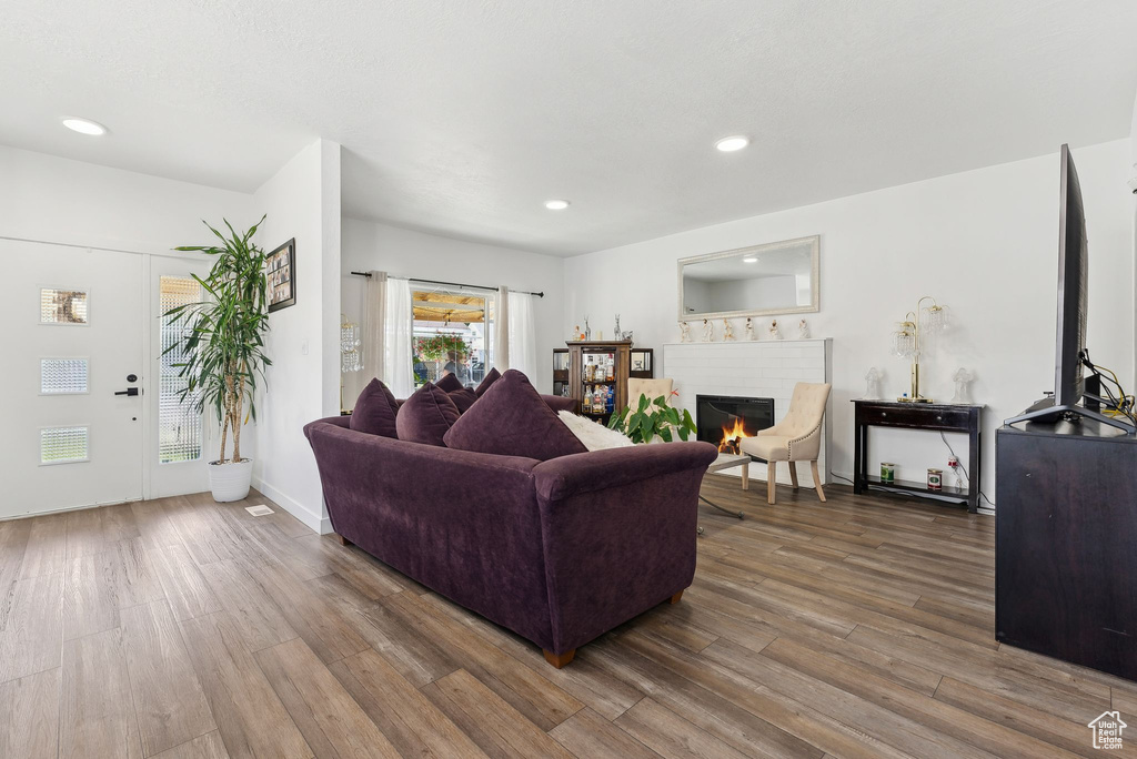 Living room featuring hardwood / wood-style flooring