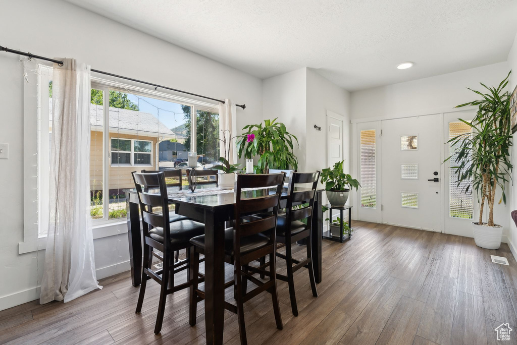 Dining room with plenty of natural light and wood-type flooring