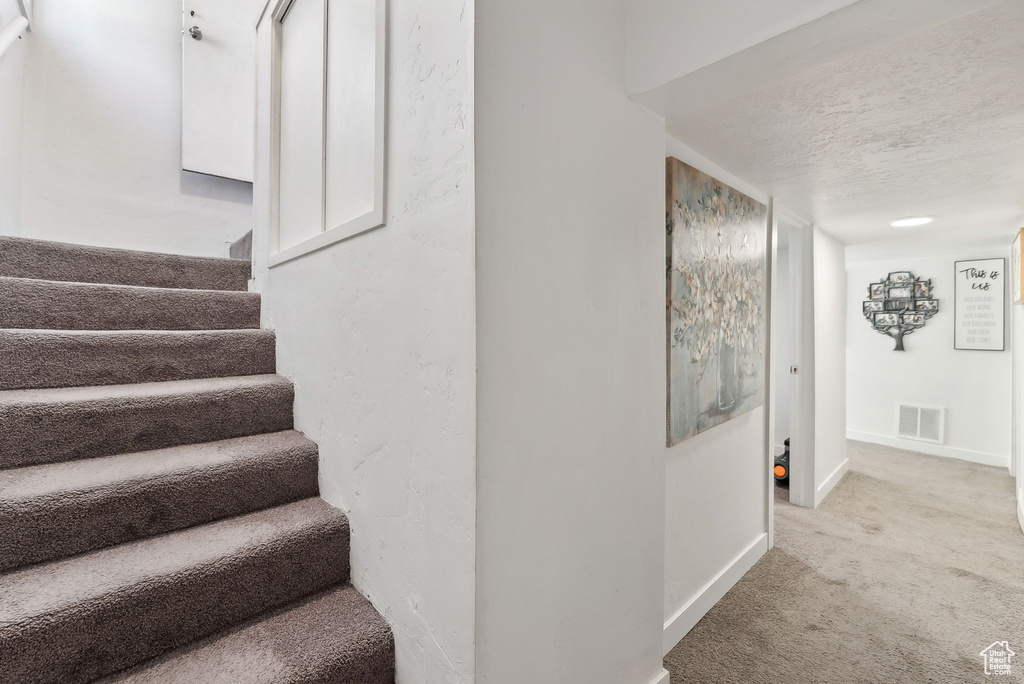 Stairway with a textured ceiling and carpet floors