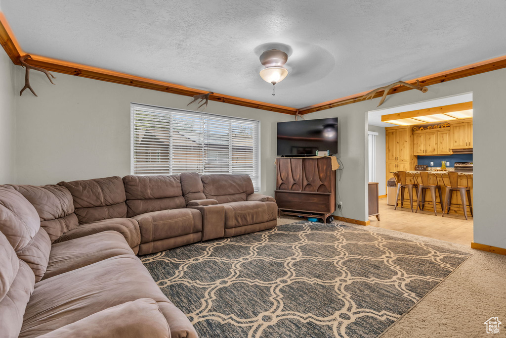 Living room featuring a textured ceiling, ornamental molding, and ceiling fan