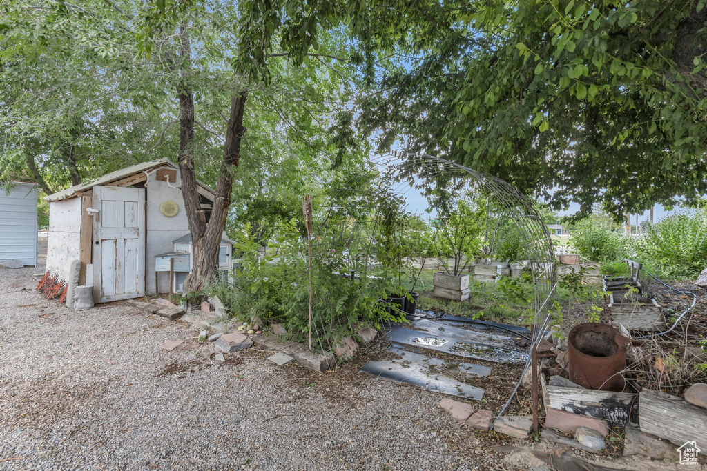 View of yard featuring a storage unit